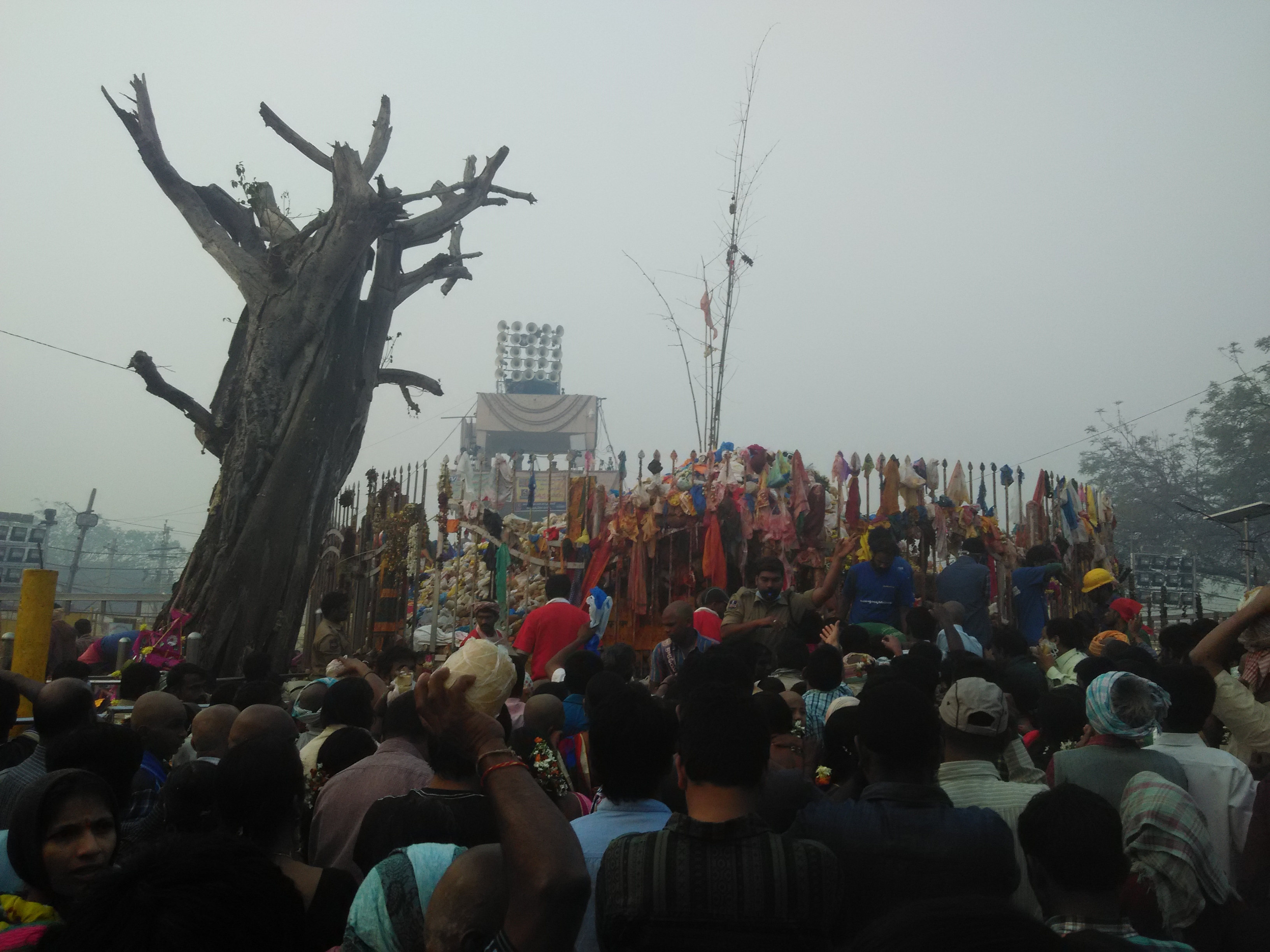 Sammakka Sarakka Jatara